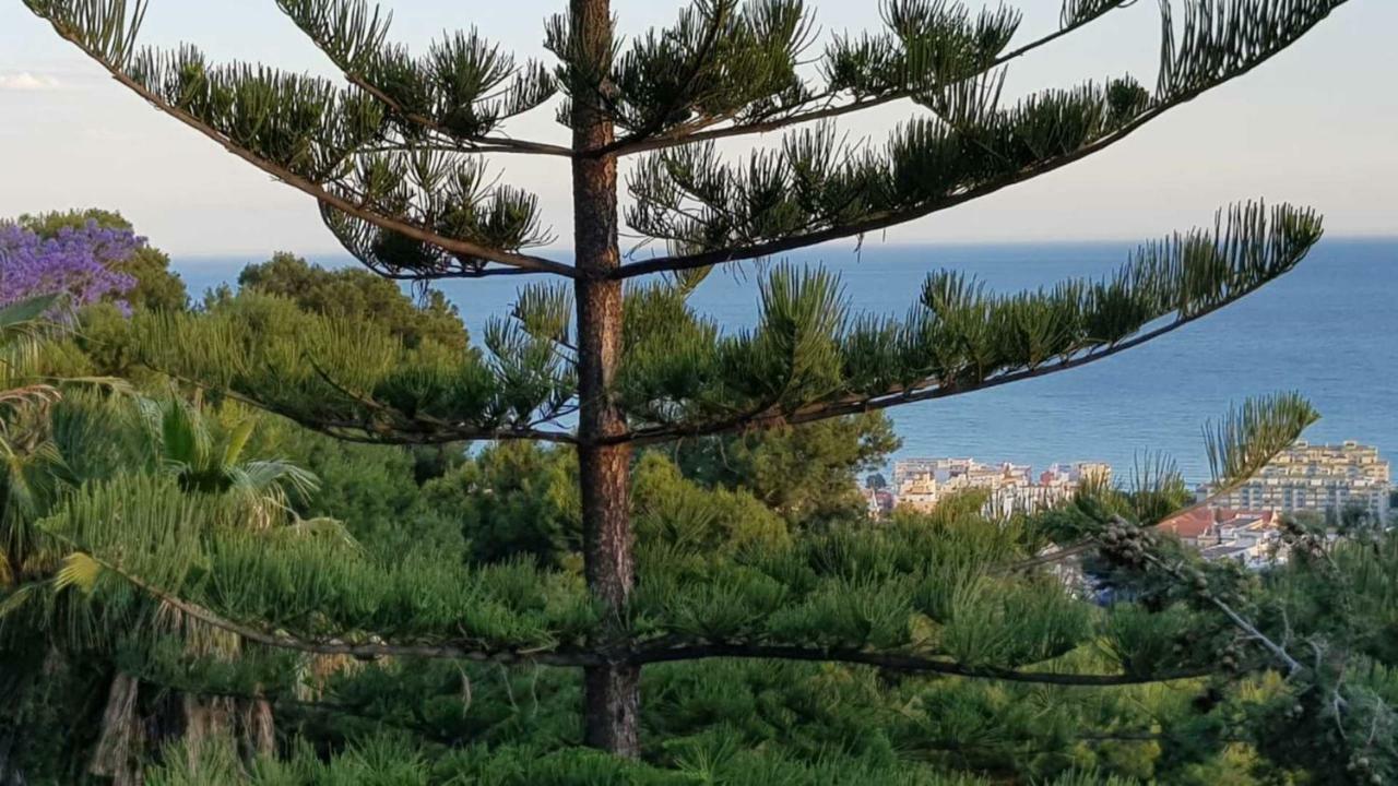 Rentcostadelsol Villa Pinares-Málaga Eksteriør billede